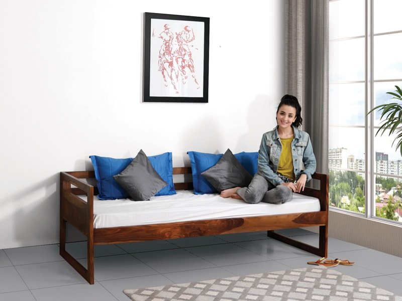 Hugo Sofa Cum Bed (Only Bed)